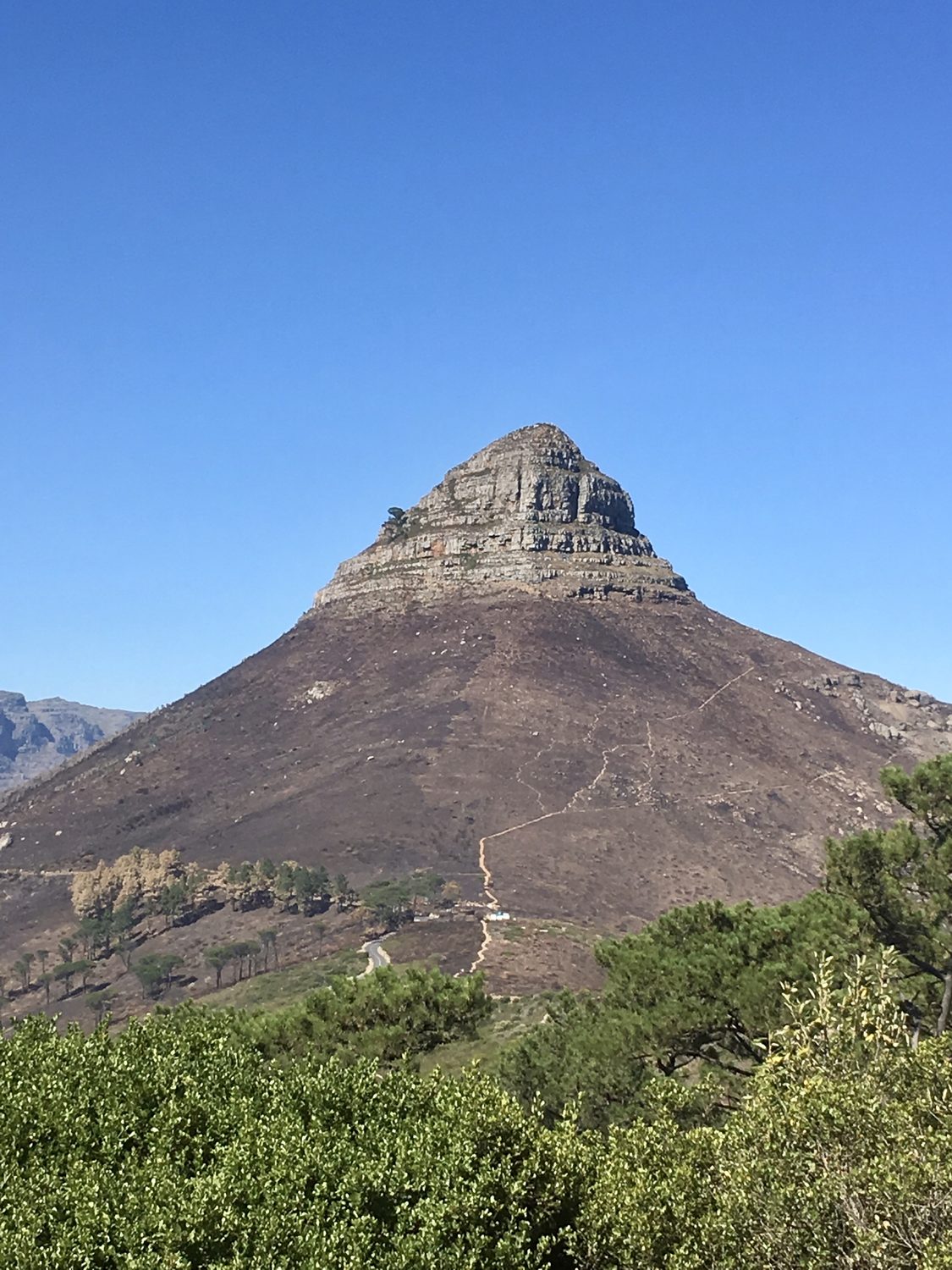 kapstadt-lions-head